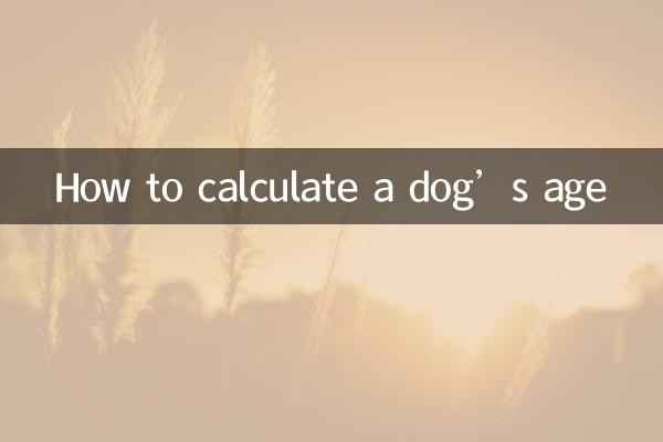 Como calcular a idade de um cachorro