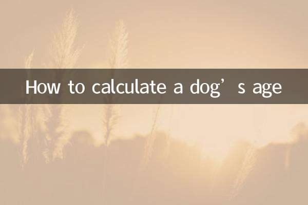 Como calcular a idade de um cachorro