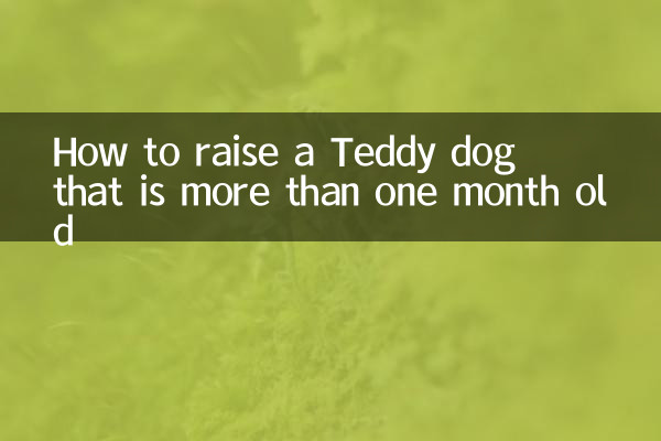 Wie man einen Teddy-Hund großzieht, der älter als einen Monat ist