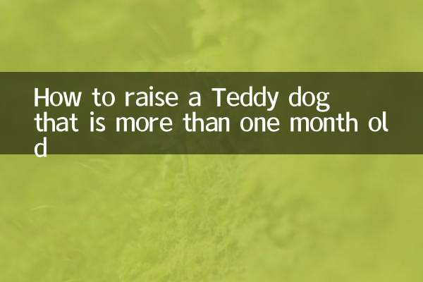 Wie man einen Teddy-Hund großzieht, der älter als einen Monat ist