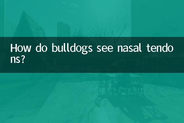 بولداگ ها چگونه تاندون های بینی را می بینند؟