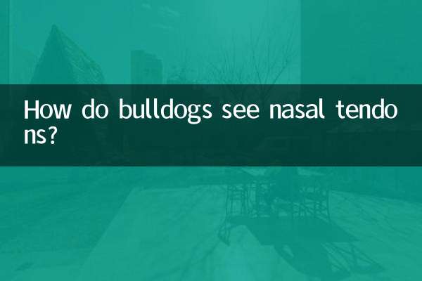 بلڈوگس ناک کے کنڈرا کیسے دیکھتے ہیں؟