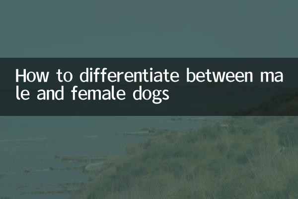 How to differentiate between male and female dogs