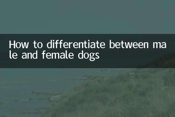 How to differentiate between male and female dogs