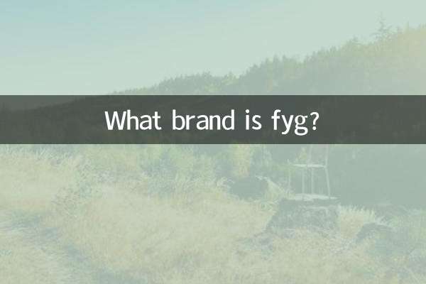 fyg는 어떤 브랜드인가요?