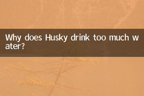 Why does Husky drink too much water?