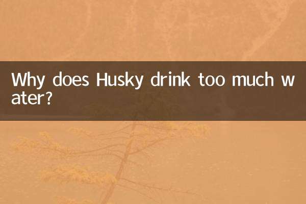 हस्की बहुत अधिक पानी क्यों पीता है?