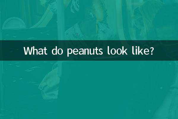 땅콩은 어떻게 생겼나요?