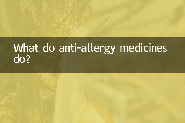 항알레르기 약은 어떤 역할을 하나요?