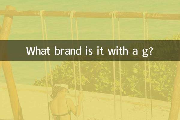 g는 어떤 브랜드인가요?