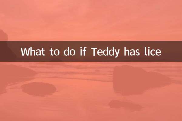 Qué hacer si Teddy tiene piojos