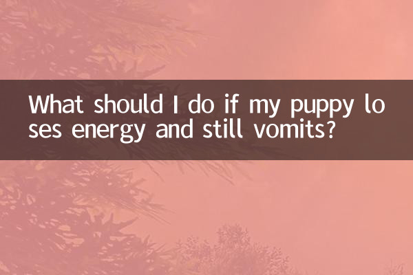 আমার কুকুরছানা যদি শক্তি হারায় এবং এখনও বমি করে তবে আমার কী করা উচিত?