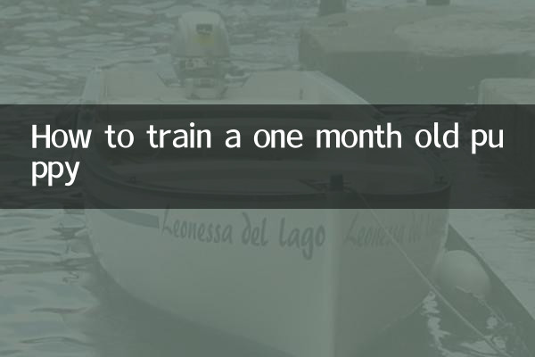 生後1ヶ月の子犬のしつけ方