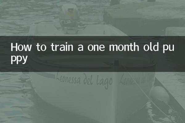 生後1ヶ月の子犬のしつけ方