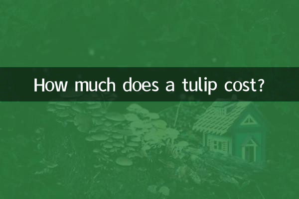 鬱金香多少錢一朵