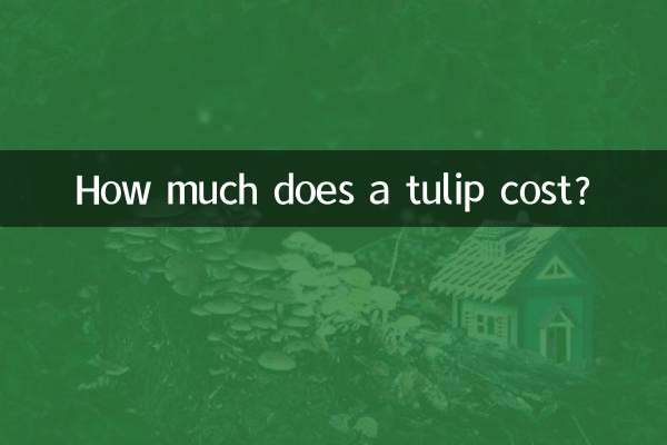 郁金香多少钱一朵