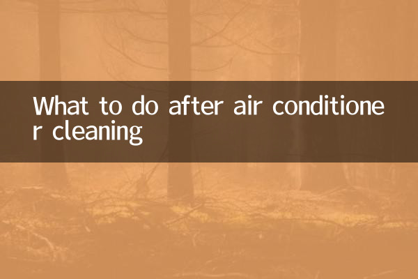 ایئر کنڈیشنر کی صفائی کے بعد کیا کریں