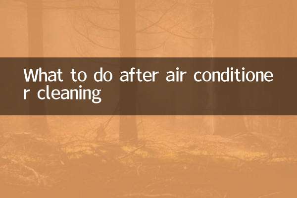 एयर कंडीशनर की सफाई के बाद क्या करें?