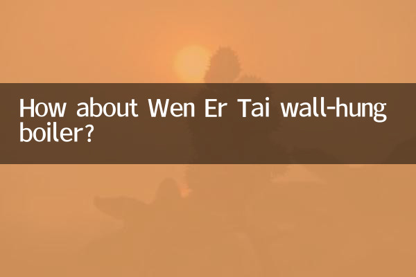 Wen Er Tai 壁掛けボイラーはいかがですか?