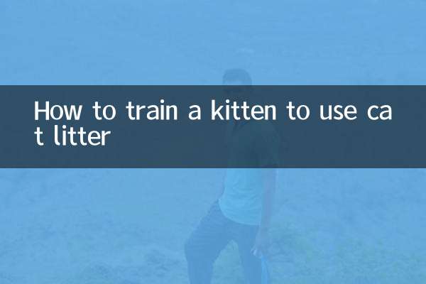 子猫に猫砂の使い方を訓練する方法