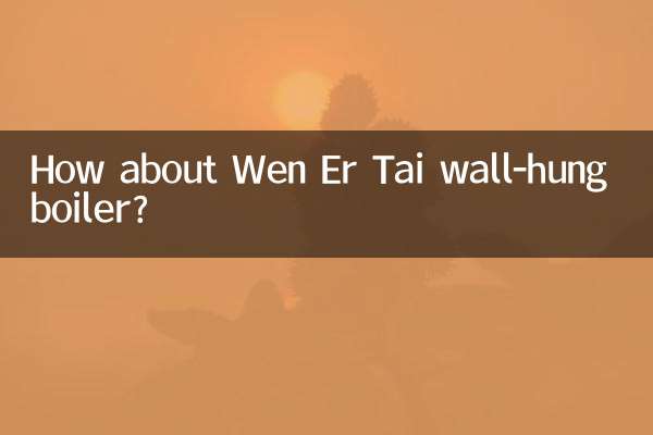 Wen Er Tai 壁掛けボイラーはいかがですか?