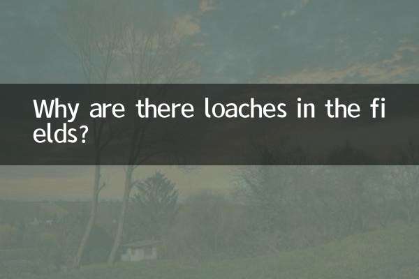 Why are there loaches in the fields?