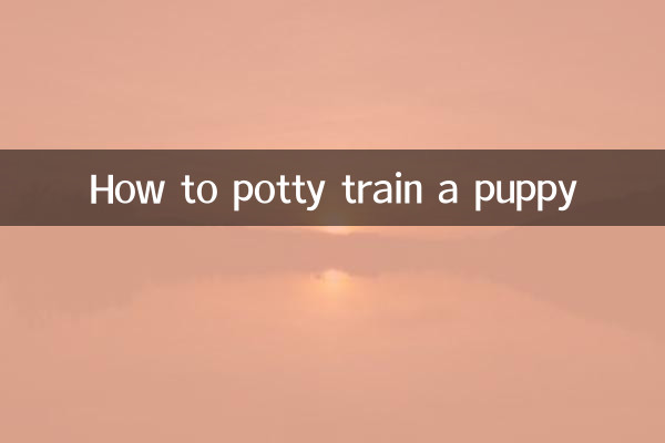 怎么样训练小狗大小便