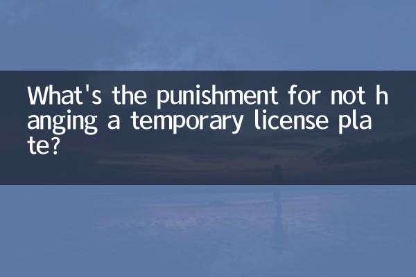 임시번호판을 달지 않으면 어떤 처벌을 받나요?