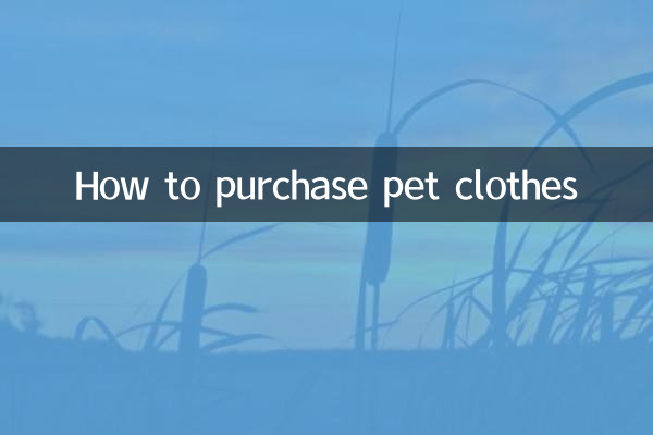 So kaufen Sie Haustierkleidung