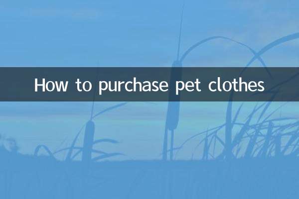 Cómo comprar ropa para mascotas