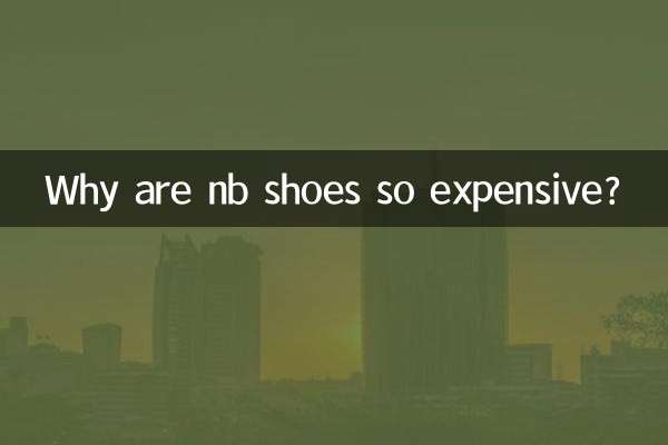 nb 신발은 왜 이렇게 비싼가요?