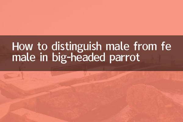 How to distinguish male from female in big-headed parrot