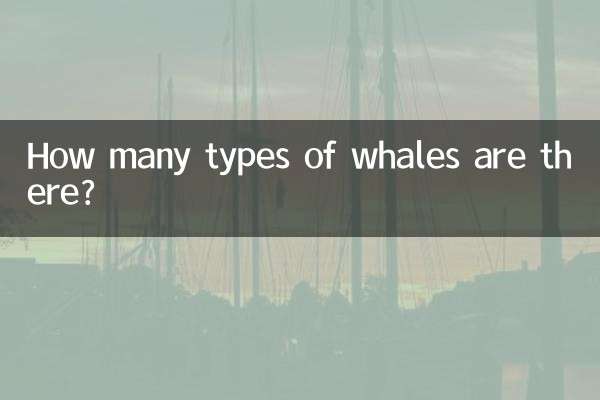 Quantos tipos de baleias existem?