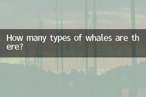 Сколько видов китов существует?