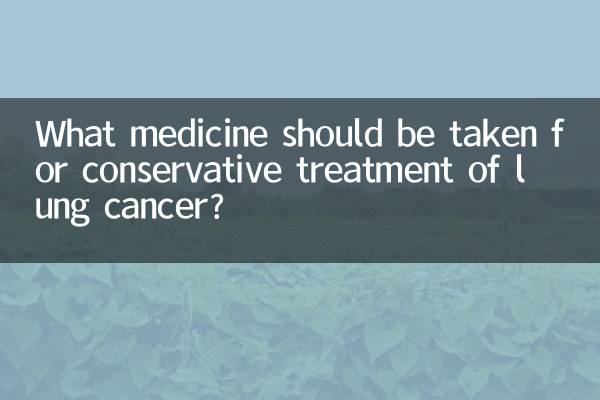 肺癌保守治疗吃什么药
