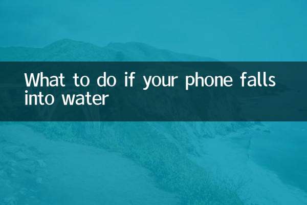 手機入水怎麼辦