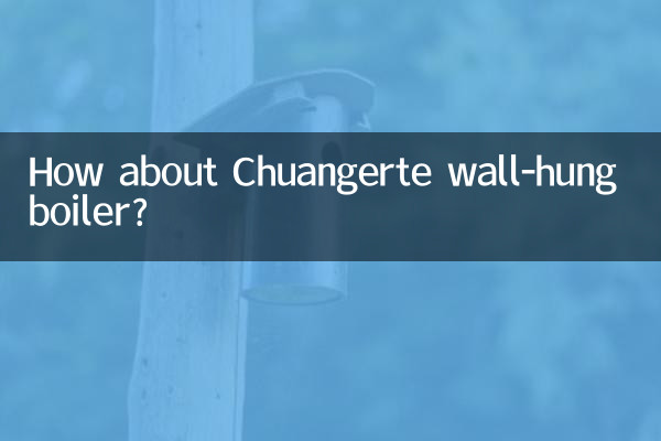 Chuangerte 벽걸이 보일러는 어떻습니까?