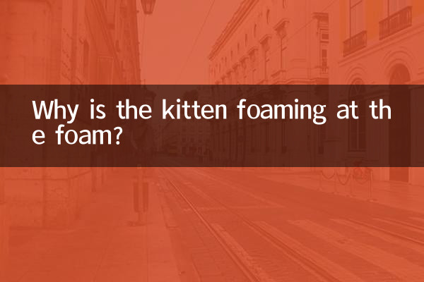 Warum schäumt das Kätzchen vor dem Schaum?