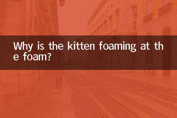 Warum schäumt das Kätzchen vor dem Schaum?