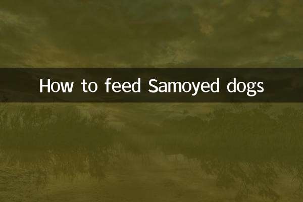 萨摩耶犬怎么喂