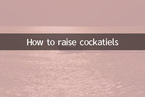 Comment élever des calopsittes