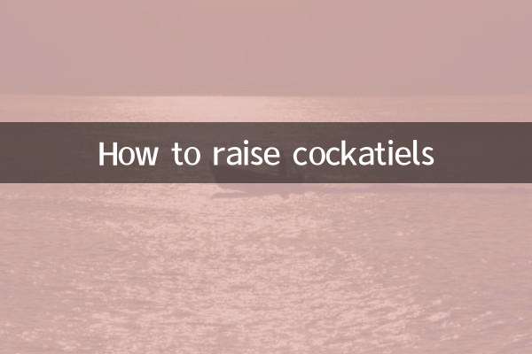 Comment élever des calopsittes