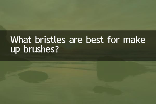 메이크업 브러쉬에 가장 적합한 강모는 무엇입니까?