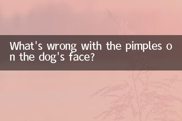 Что не так с прыщами на морде собаки?