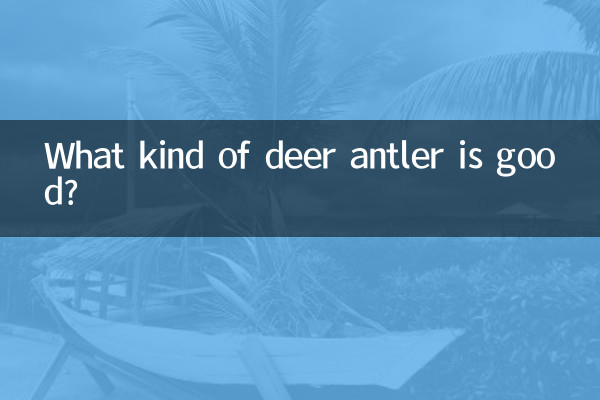鹿茸什么样的好