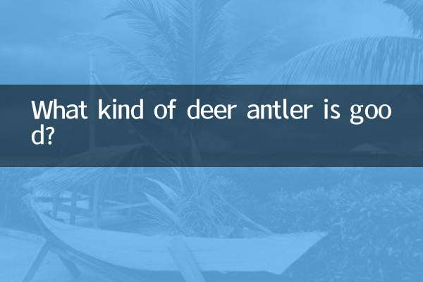 鹿茸什么样的好