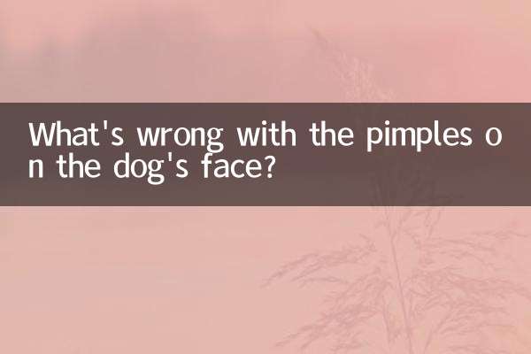 Что не так с прыщами на морде собаки?