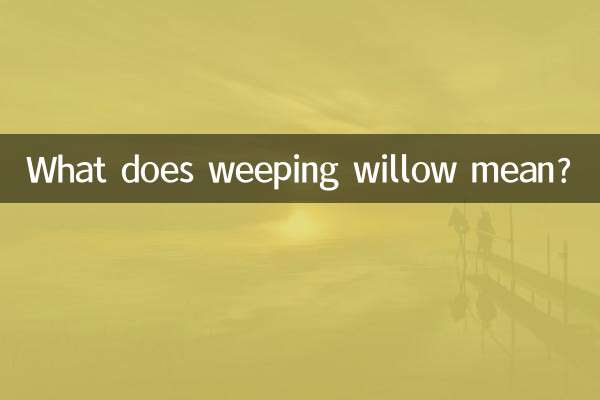 수양버들은 무슨 뜻인가요?