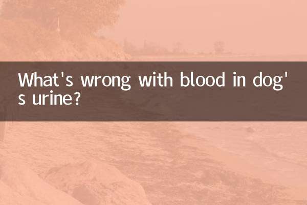 কুকুরের প্রস্রাবে রক্তের সমস্যা কি?