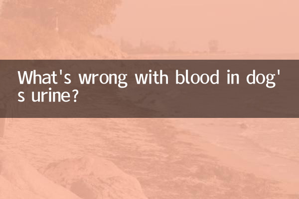 কুকুরের প্রস্রাবে রক্তের সমস্যা কি?